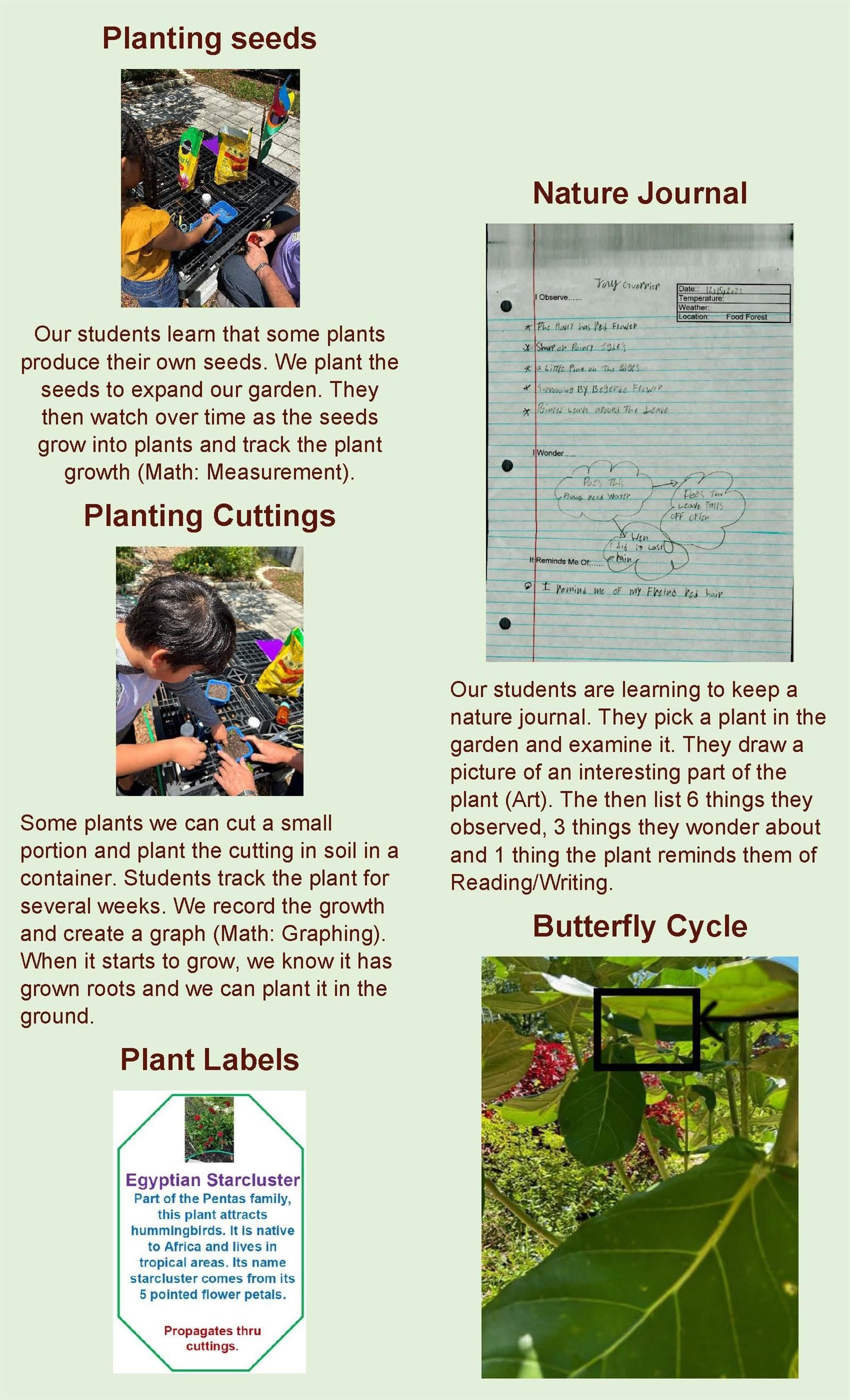 Food Forest Page 1